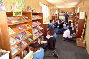 Mandela Day Library