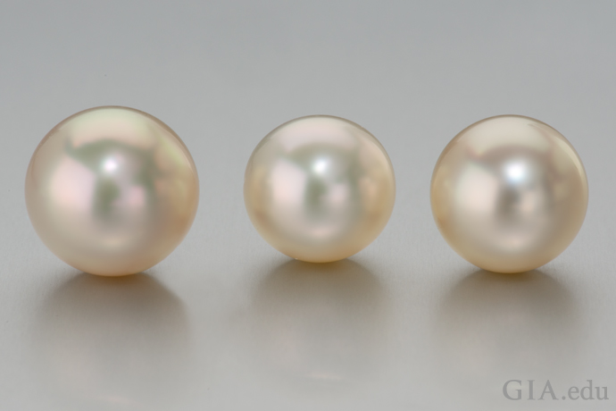 Three akoya cultured pearls